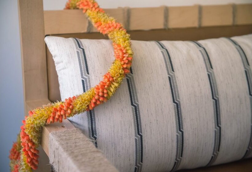 بنجلو قياسى, The Surfjack Hotel & Swim Club