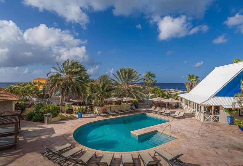 اتاق استاندارد با چشمانداز دریا, Lionsdive Beach Resort