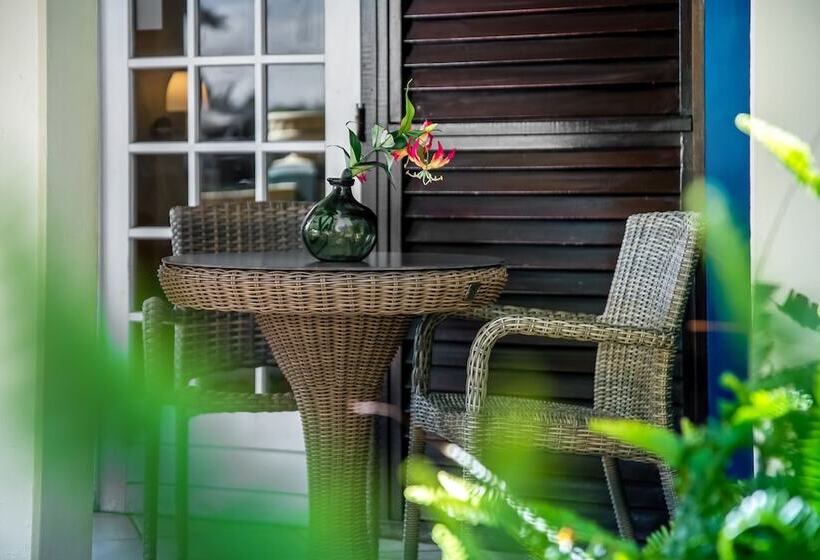 اتاق استاندارد, Lionsdive Beach Resort