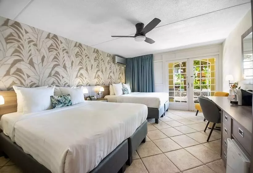 اتاق استاندارد, Lionsdive Beach Resort