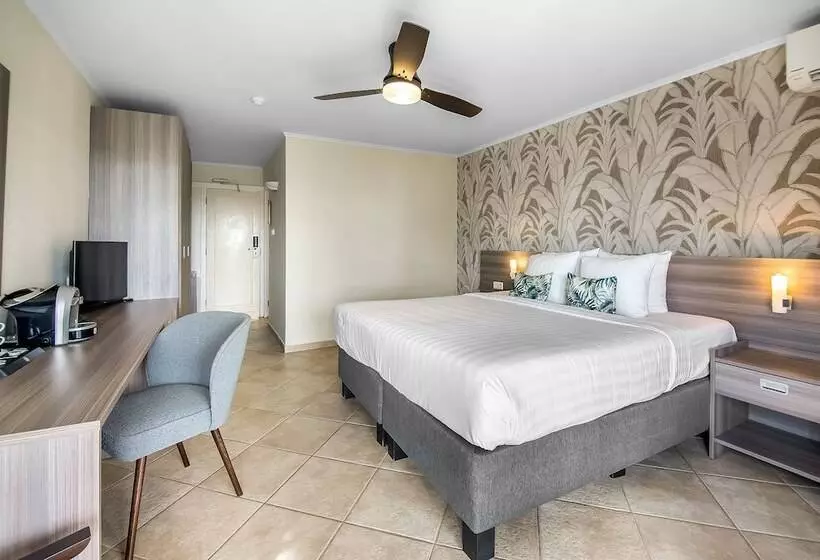 اتاق استاندارد با چشمانداز دریا, Lionsdive Beach Resort
