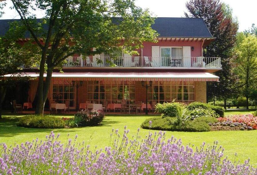 سوییت جونیور, De La Gaichel