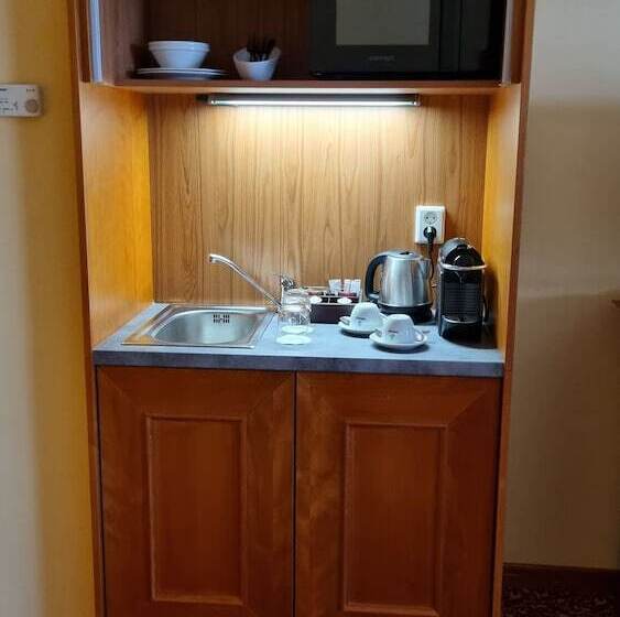 اتاق استاندارد, Savoy Prague