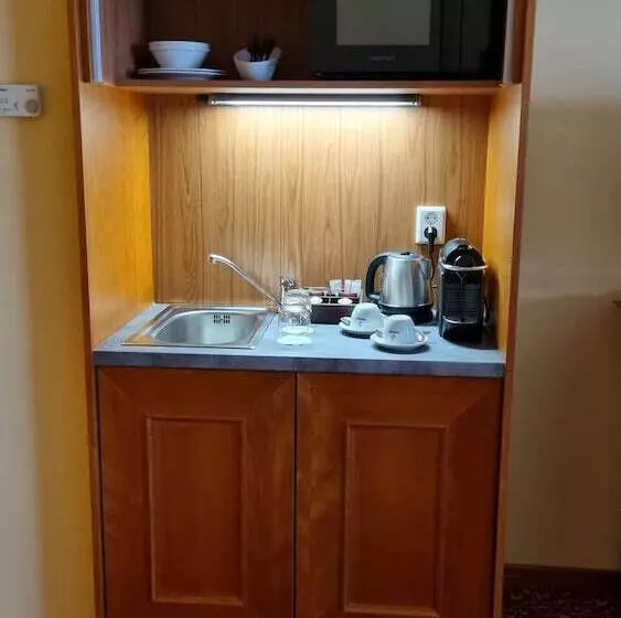 اتاق استاندارد, Savoy Prague