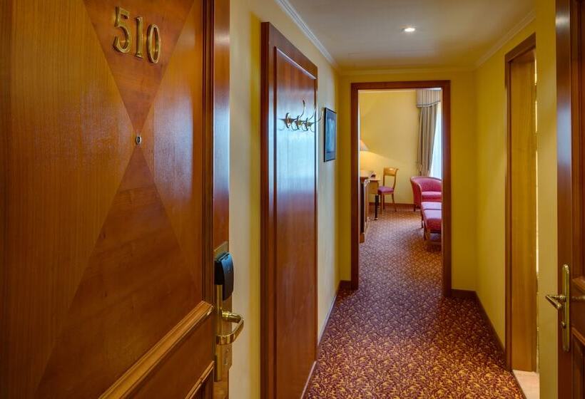 اتاق استاندارد, Savoy Prague