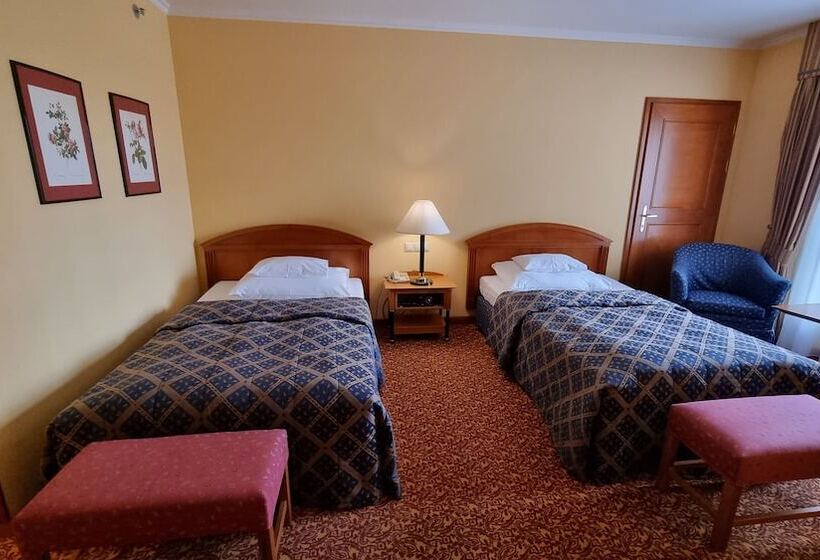 اتاق استاندارد, Savoy Prague