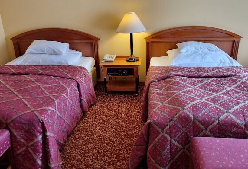 اتاق استاندارد, Savoy Prague