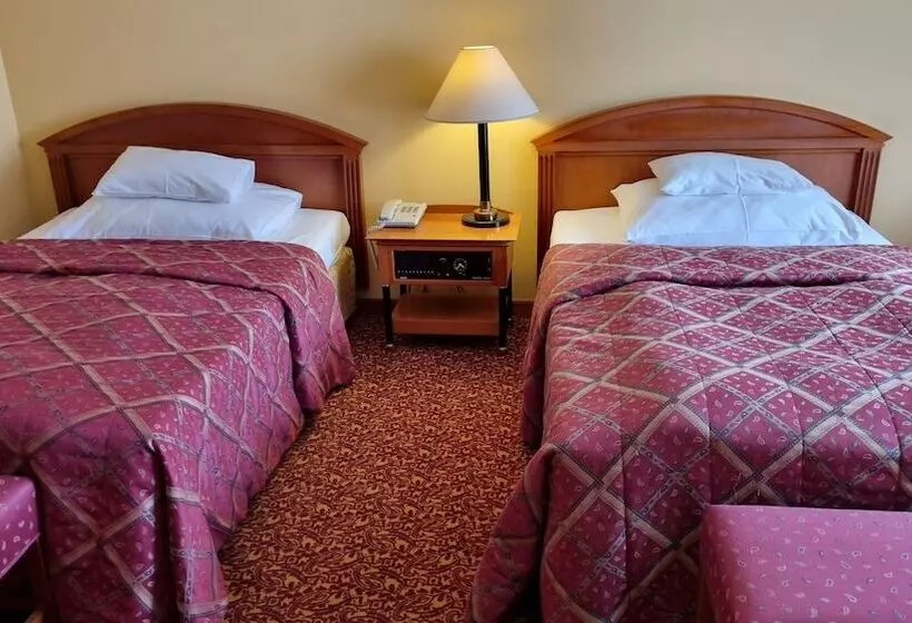 اتاق استاندارد, Savoy Prague