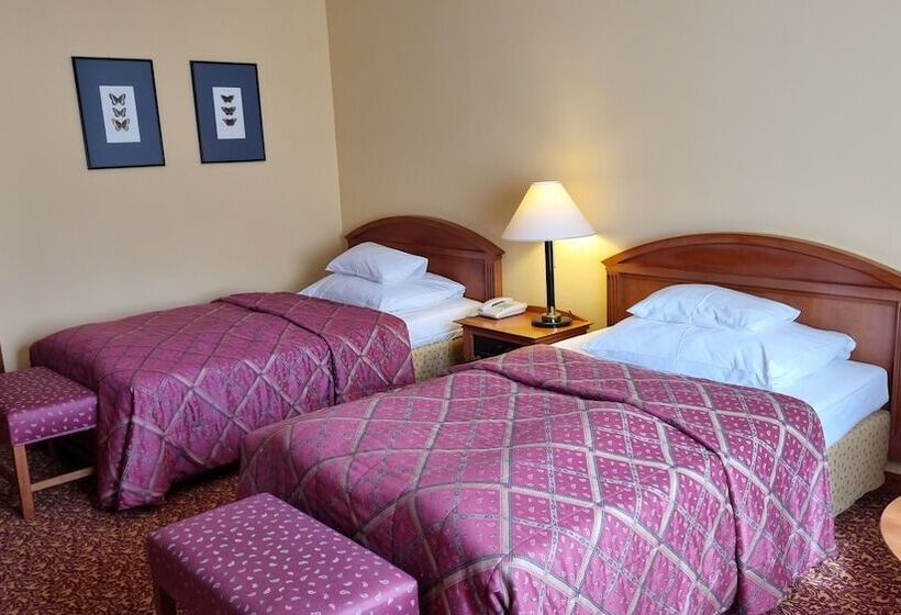 اتاق استاندارد, Savoy Prague