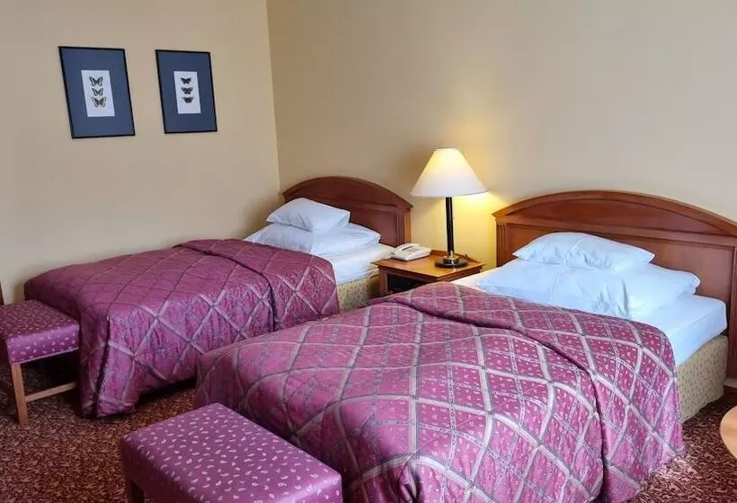 اتاق استاندارد, Savoy Prague