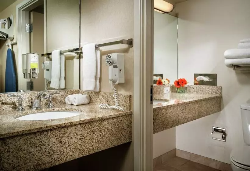 اتاق پرمیوم, Staypineapple, University Inn, University District Seattle