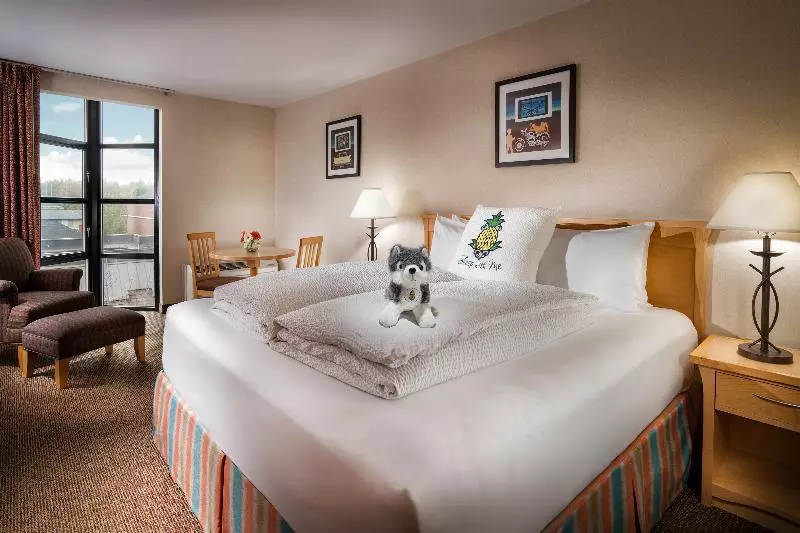 اتاق لوکس با تخت بزرگ, Staypineapple, University Inn, University District Seattle