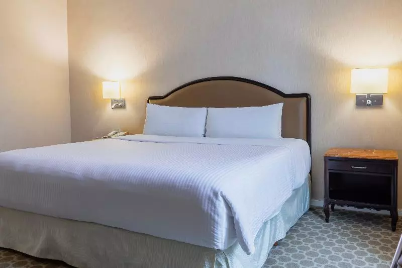 キングサイズベッドのスーペリアルーム, Gamma Monterrey Gran Hotel Ancira