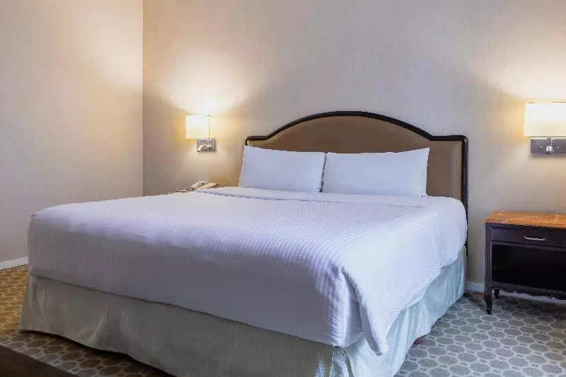 キングサイズベッドのスーペリアルーム, Gamma Monterrey Gran Hotel Ancira