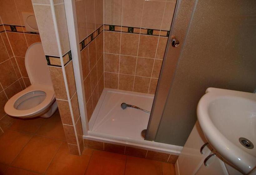 חדר סטנדרט עם מרפסת, Poprad