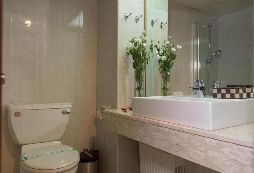 חדר סטנדרט מותאם לאדם עם מוגבלויות, Rodon Hotel And Resort