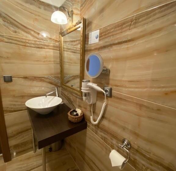 스탠다드 룸 킹사이즈 침대, Parkhotel Brno