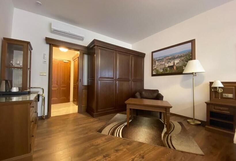 스탠다드 룸 킹사이즈 침대, Parkhotel Brno