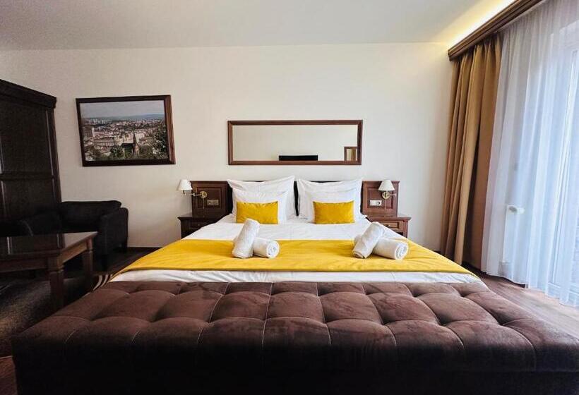 스탠다드 룸 킹사이즈 침대, Parkhotel Brno