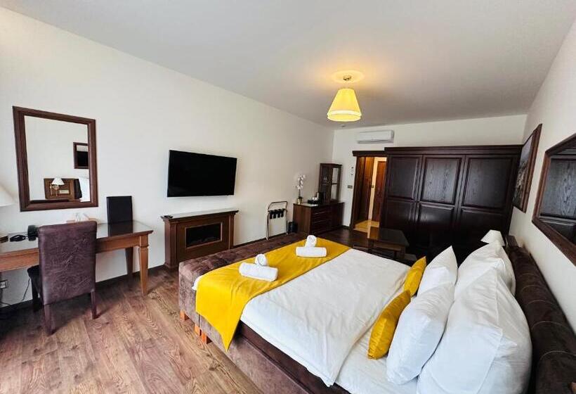 스탠다드 룸 킹사이즈 침대, Parkhotel Brno