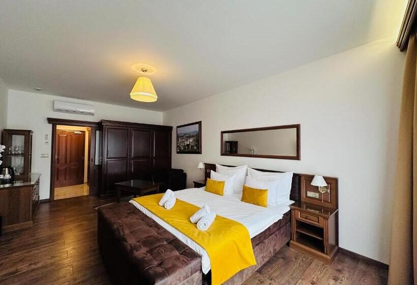 스탠다드 룸 킹사이즈 침대, Parkhotel Brno