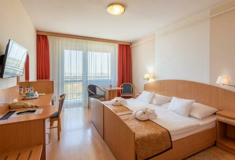 חדר סטנדרטי פלוס, Barátság