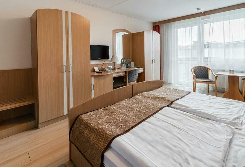 חדר סטנדרטי פלוס, Barátság