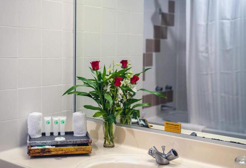 חדר סופריור נוף לעיר, Cambodiana