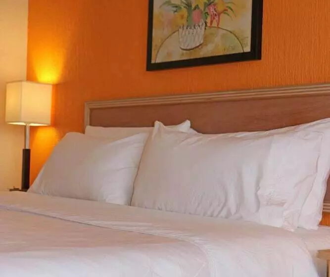 スタンダードルーム, Holiday Inn La Piedad, An Ihg