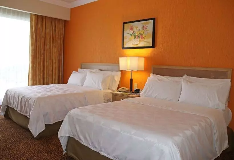 ２ダブルベッドのスタンダードルーム, Holiday Inn La Piedad, An Ihg