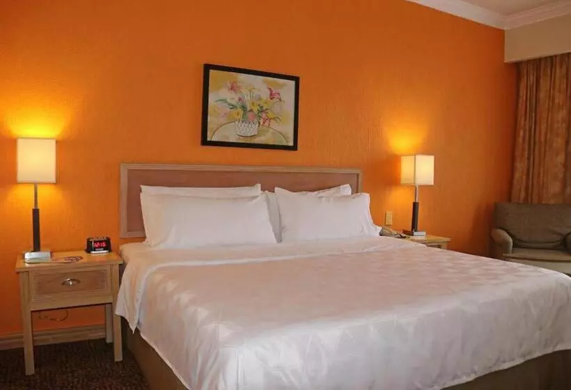 スタンダードルーム, Holiday Inn La Piedad, An Ihg