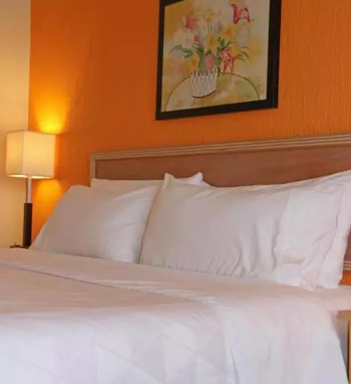 キングサイズベッドのスタンダードルーム, Holiday Inn La Piedad, An Ihg