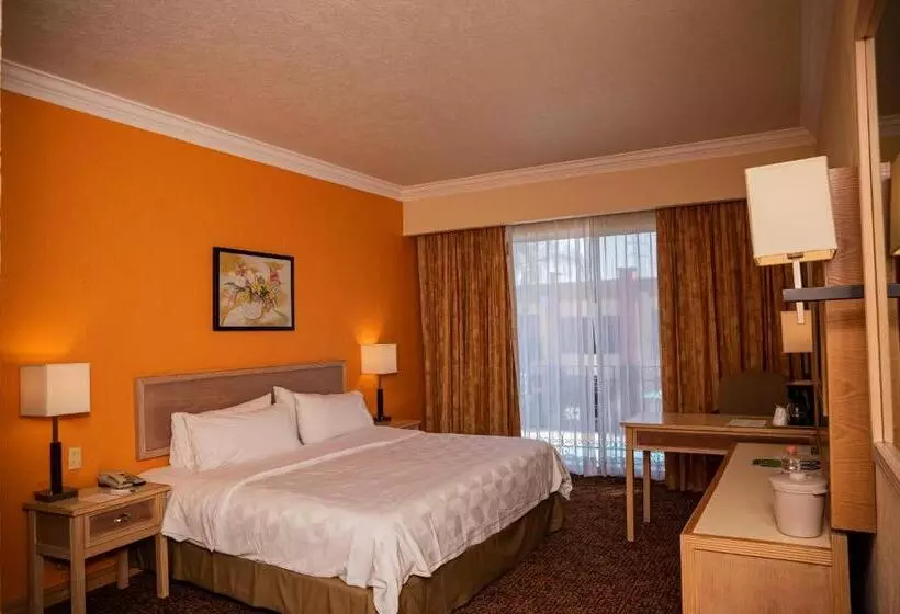 キングサイズベッドのスタンダードルーム, Holiday Inn La Piedad, An Ihg