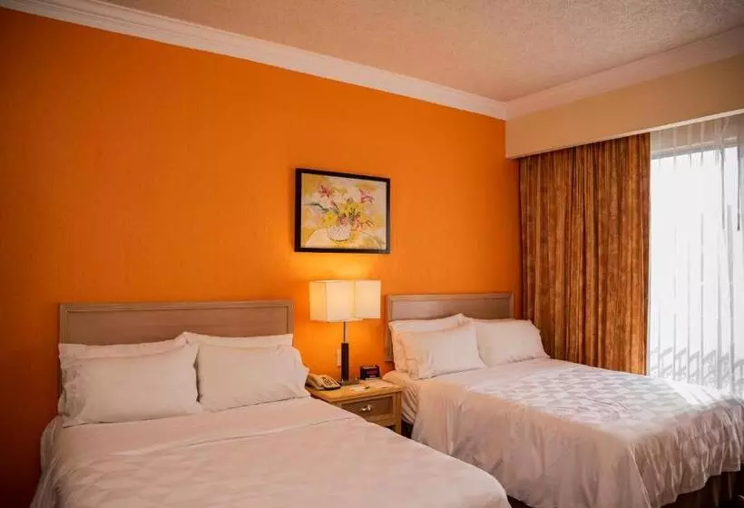 ２ダブルベッドのスタンダードルーム, Holiday Inn La Piedad, An Ihg