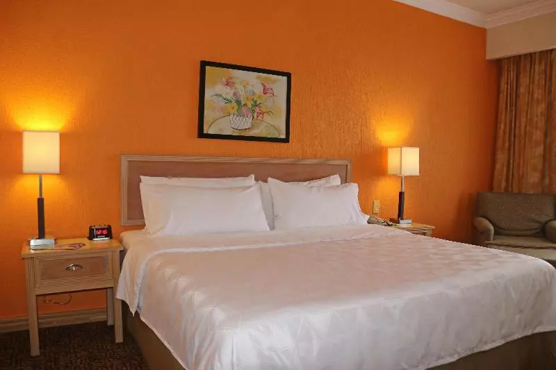 キングサイズベッドのスタンダードルーム, Holiday Inn La Piedad, An Ihg