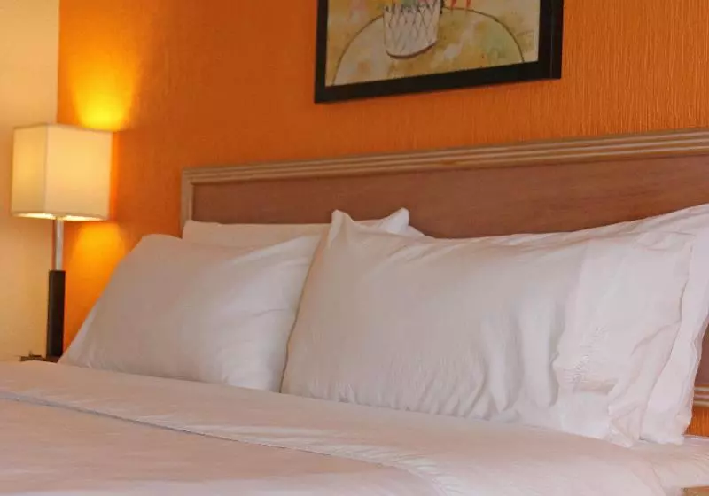キングサイズベッドのスタンダードルーム, Holiday Inn La Piedad, An Ihg