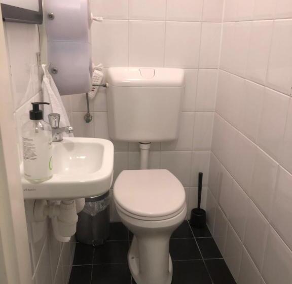 اتاق استاندارد چهار تخته, Hortus