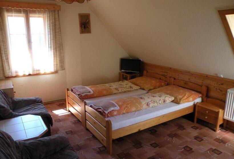 غرفة قياسية, Lesní Dům