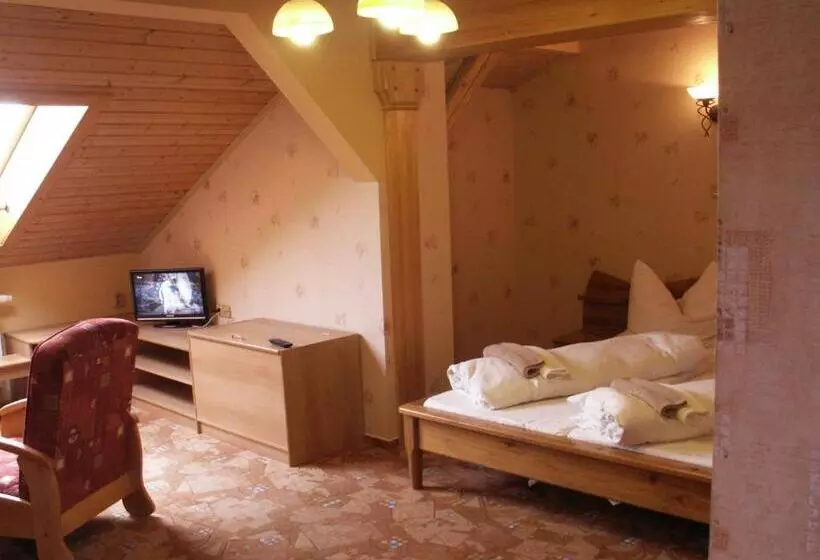 スタンダードトリプルルーム, Lesní Dům