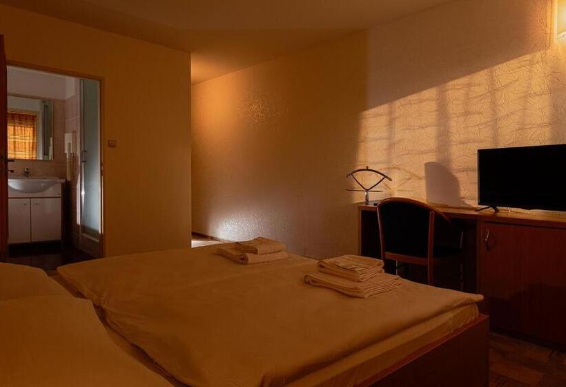 舒适型房间, Slezan