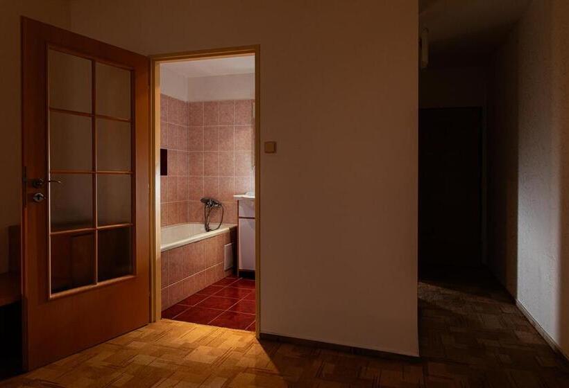 舒适型房间, Slezan