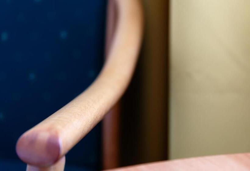 舒适型房间, Slezan