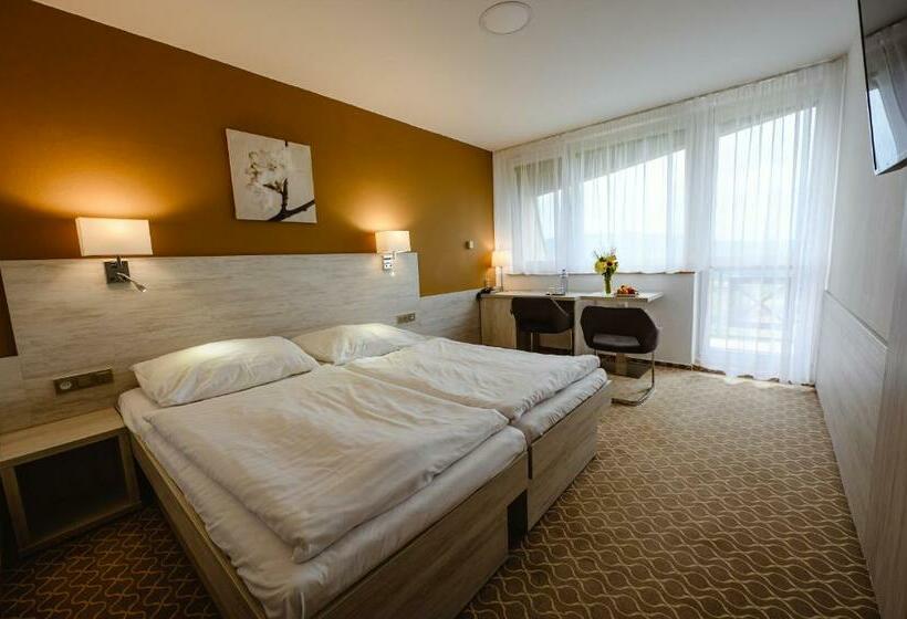 غرفة قياسية, Vega Luhacovice