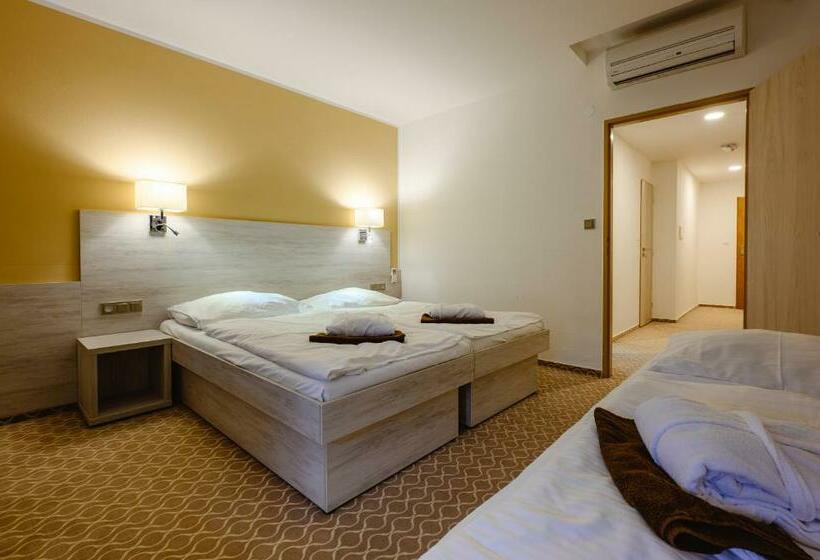 غرفة قياسية ثلاثية, Vega Luhacovice