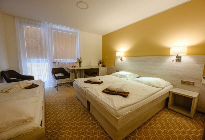 غرفة قياسية ثلاثية, Vega Luhacovice