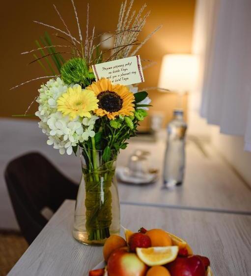 غرفة قياسية ثلاثية, Vega Luhacovice