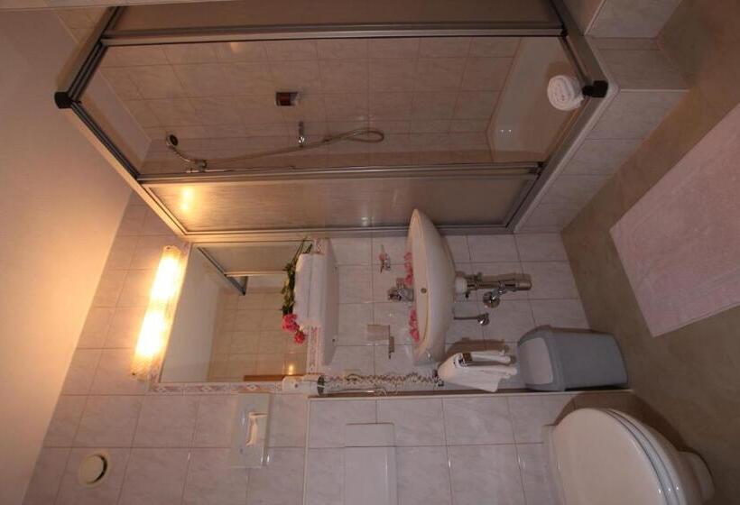 غرفة قياسية فردية مزودة بشُرفة, Central