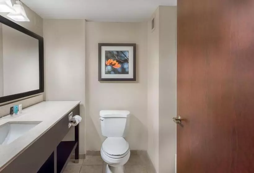 スイート（家族用）, Crowne Plaza Cleveland At Playhouse Square, An Ihg