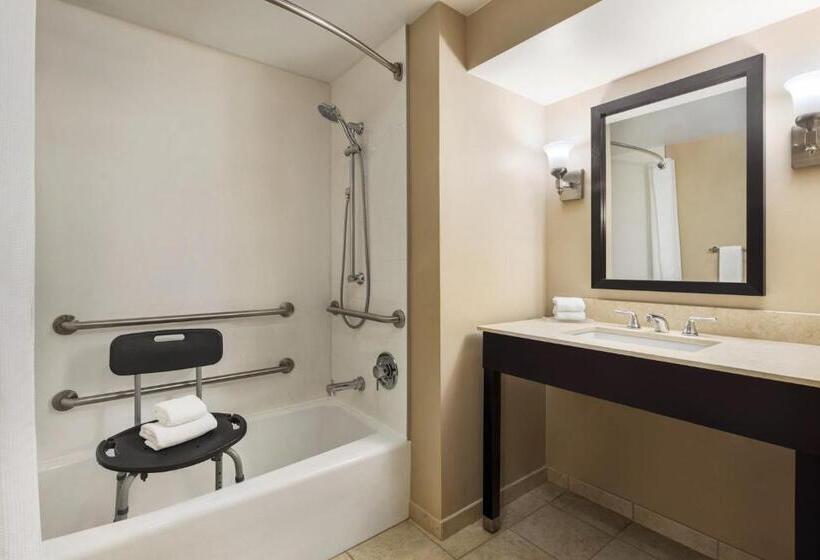 장애인을 위한 킹사이즈 침대 스탠다드 룸, Crowne Plaza Cleveland At Playhouse Square, An Ihg