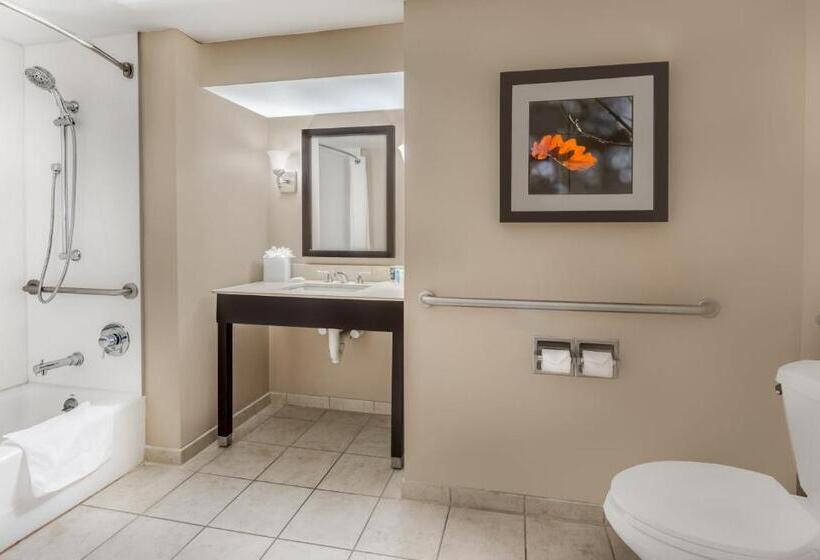 Номер Стандарт Кровать Кинг Адаптированный для Инвалидов, Crowne Plaza Cleveland At Playhouse Square, An Ihg